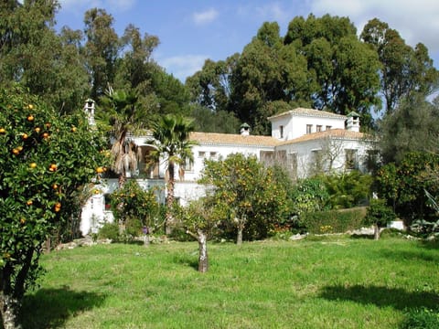 Property building, Winter