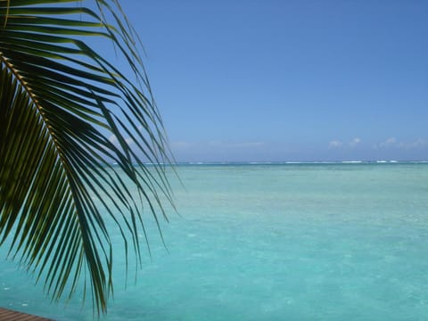 Hôtel Fenua Mata'i'oa Hotel in Moorea-Maiao