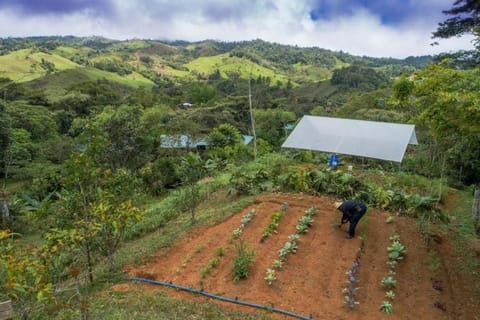 Finca Anjala - Architectural lodge on sustainable House in Bahía Ballena