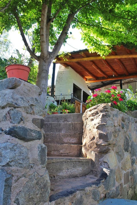 Property building, Spring, Day, Garden, Garden view