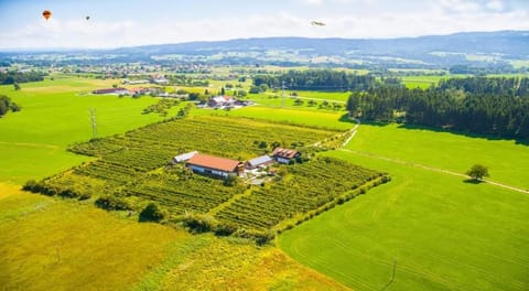 Natural landscape, Bird's eye view