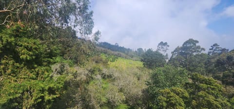 Garden view, Mountain view