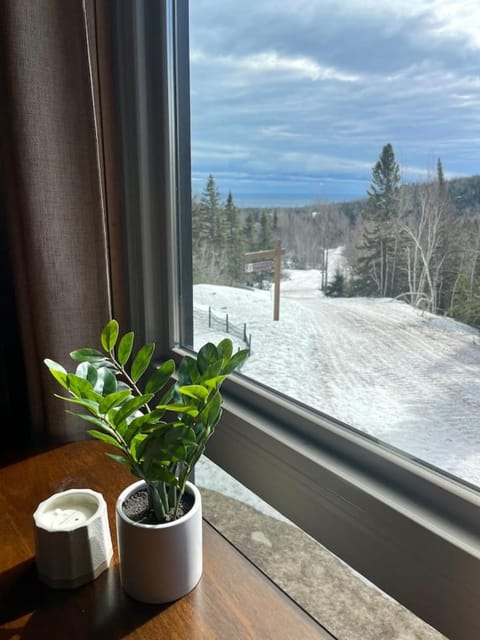 Ski in Ski out Cozy Studio Condo, Pool, Hot Tub, Views of Moose Mtn Casa in Lutsen