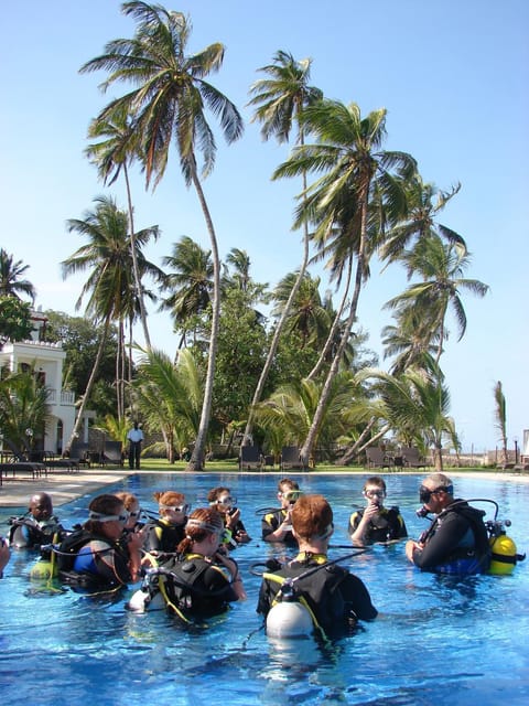 Swimming pool