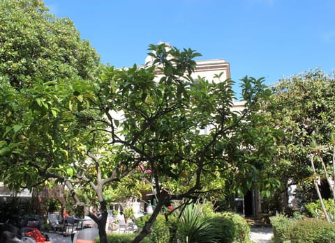 Hôtel Les Palmiers Hotel in Saint-Tropez