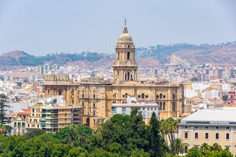 Nearby landmark, City view, Street view