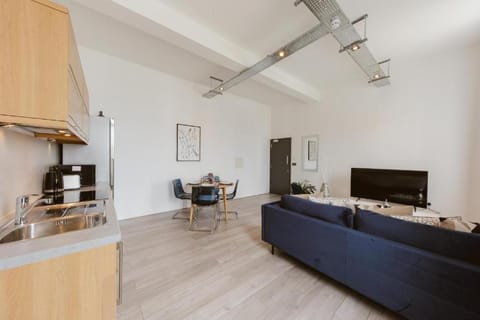 Amazing warehouse conversion apartment in Chiswick Apartment in London Borough of Ealing