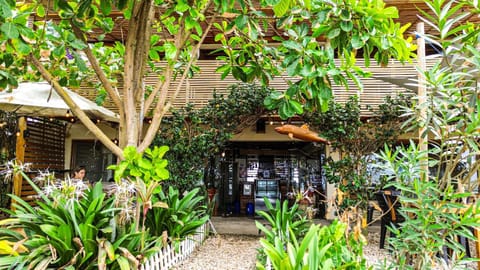 Suite La Isla Bed and Breakfast in Santa Elena Province