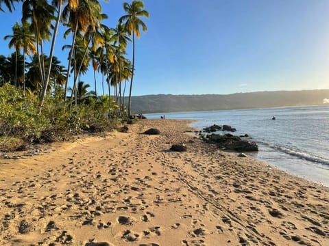 Beach, nature and relaxation Apartment in Las Terrenas