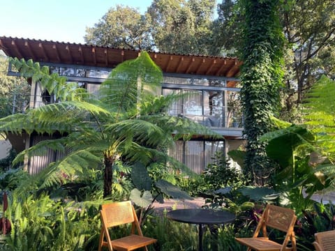 Pandurata Bed and Breakfast Bed and Breakfast in Valle de Bravo