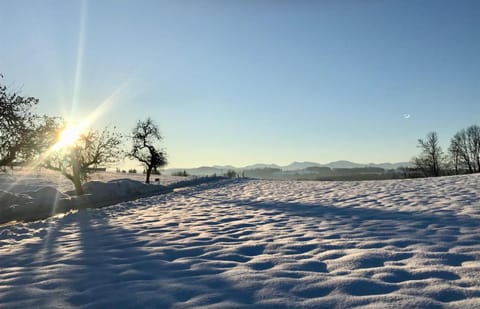 Day, Natural landscape, Winter