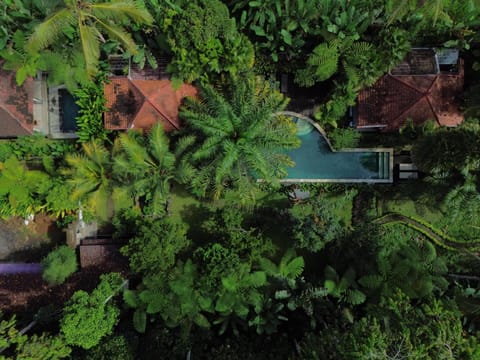 Natural landscape, Pool view, Swimming pool