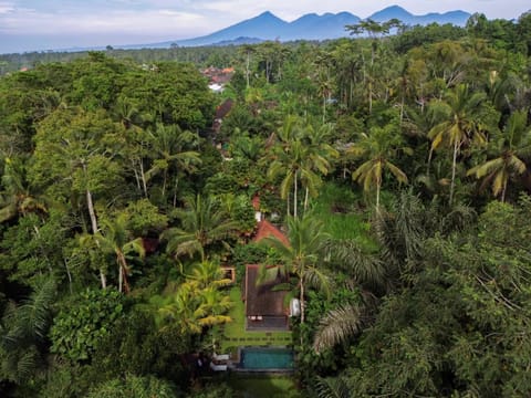 Nearby landmark, Day, Natural landscape, Bird's eye view, Swimming pool