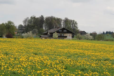 Kurparkpension Stephan Bed and Breakfast in Salzburgerland