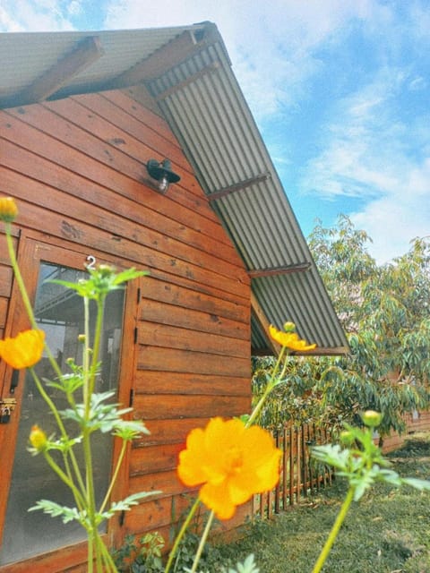 Property building, Garden, Garden view