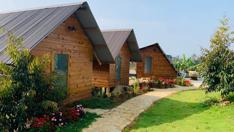 Property building, Garden, Garden view