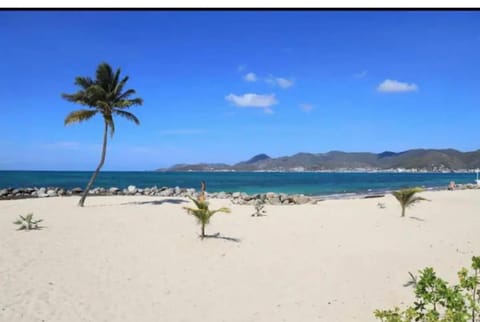 Natural landscape, Beach, Sea view