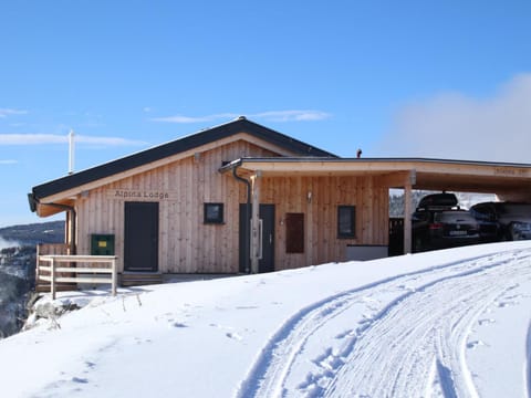 Property building, Winter