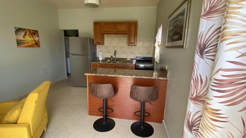 Kitchen or kitchenette, minibar, stove