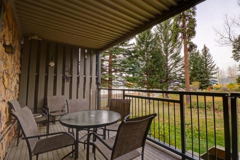 A106 Lake Cliffe condo Apartment in Dillon