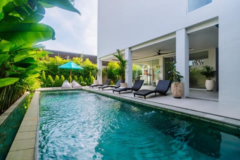 Garden, Swimming pool, sunbed