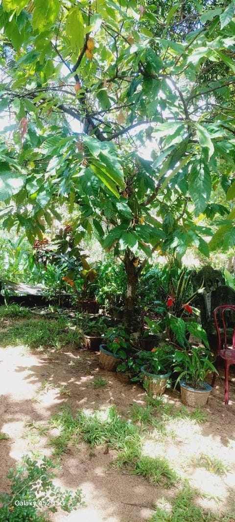 Prasad home Apartment in Dambulla