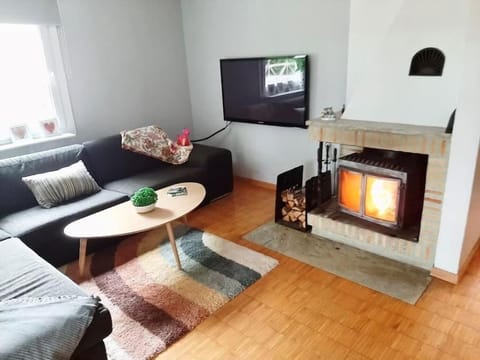 TV and multimedia, Living room, Seating area, fireplace