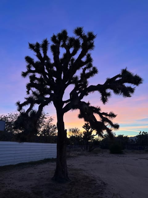 Natural landscape, Sunset