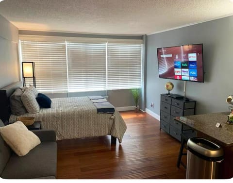 Condo Close to Stadium and Free Parking Apartment in Knoxville