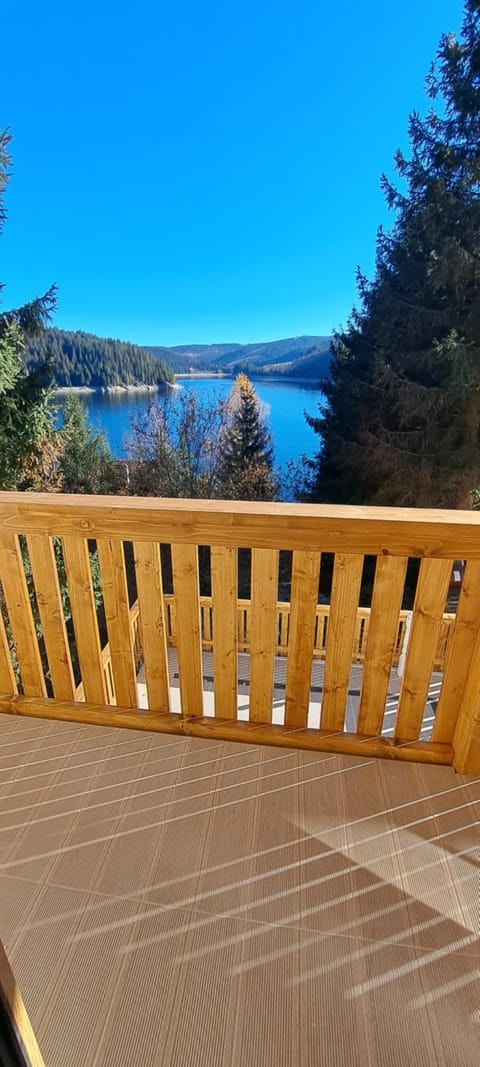 Balcony/Terrace, Lake view