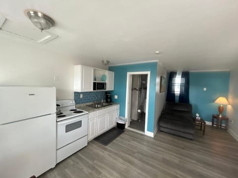 Kitchen or kitchenette, oven, pet friendly, stove