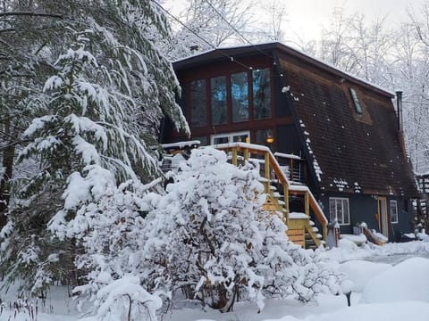 Property building, Natural landscape, Winter