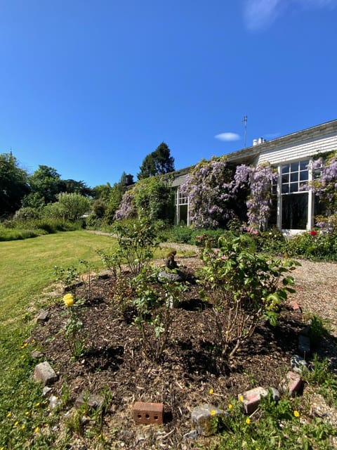 Property building, Garden, Garden