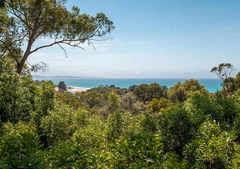 Spring, Day, Natural landscape, Beach, Garden view, Sea view