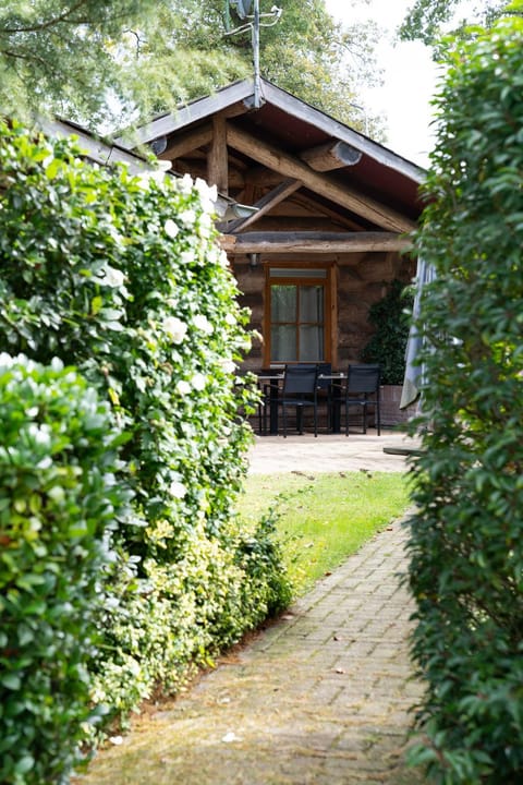 Boomgalows De Roestelberg House in North Brabant (province)