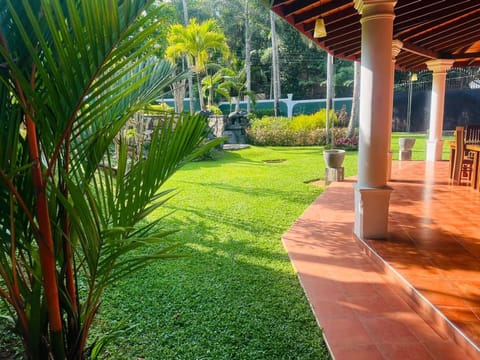 Patio, Garden, Garden view