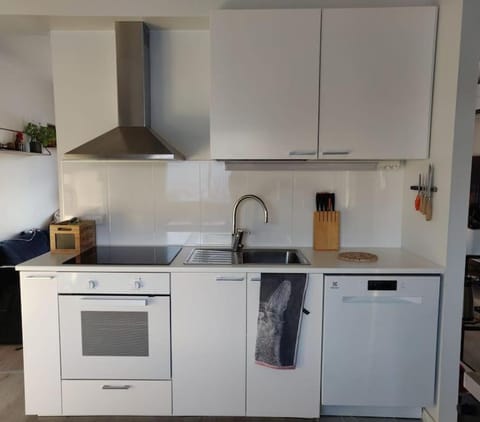 Kitchen or kitchenette, dishwasher, oven, stove