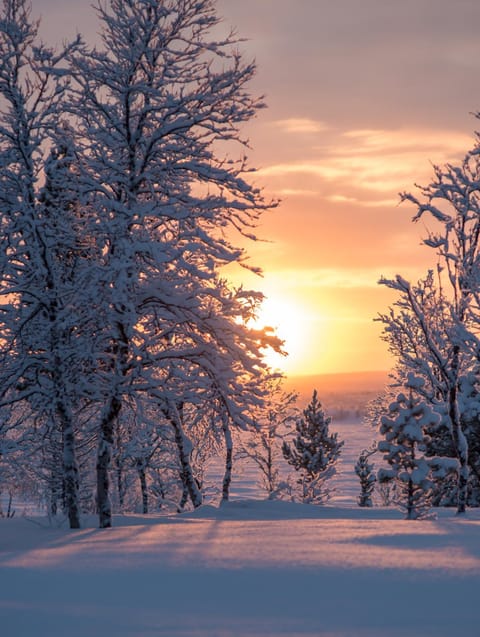 Day, Winter, On site, Lake view, Lake view