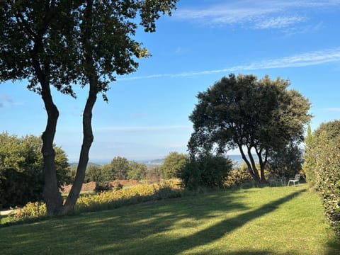 Natural landscape, Garden, Garden view