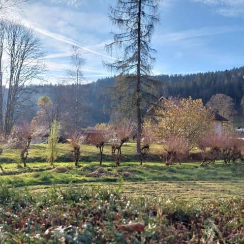 Natural landscape, Garden view, Mountain view