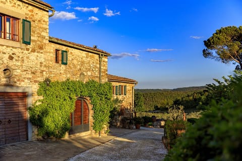 Le Filigare Winery & Accomodation in Chianti Farm Stay in Castellina in Chianti