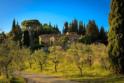 Le Filigare Winery & Accomodation in Chianti Farm Stay in Castellina in Chianti