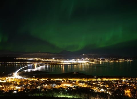 Night, City view, Garden view, Sea view