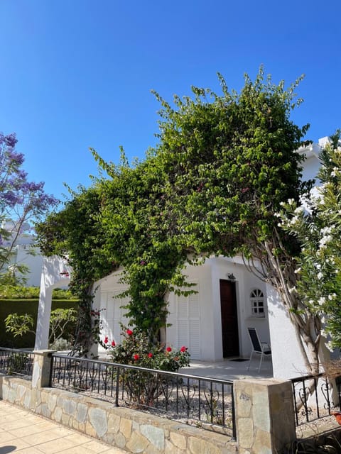 Coral Bay Villa Daniella Villa in Peyia