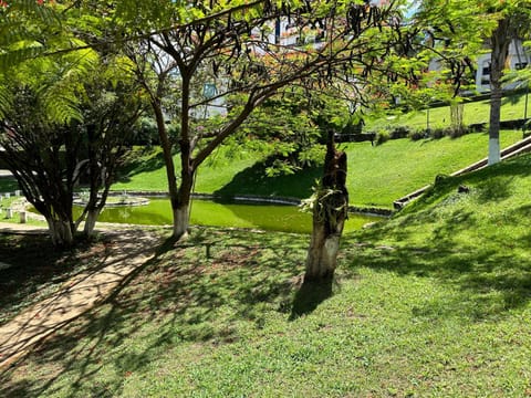 Garden, Garden view