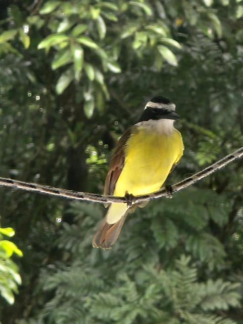 Happy Paradise Lodge Nature lodge in Nuevo Arenal