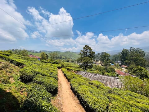 Tea View Munnar House in Munnar