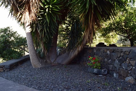 Casa Rural Olga Country House in La Palma