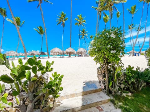 Beach, Sea view