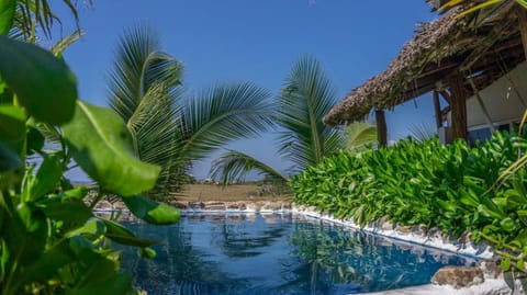 Day, Pool view, Swimming pool